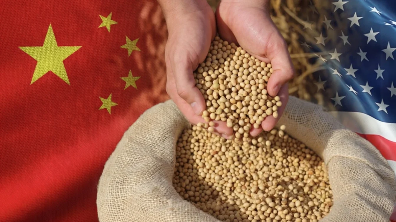 China promite achiziții anuale de 17 miliarde dolari. Piața agricolă globală se adaptează.