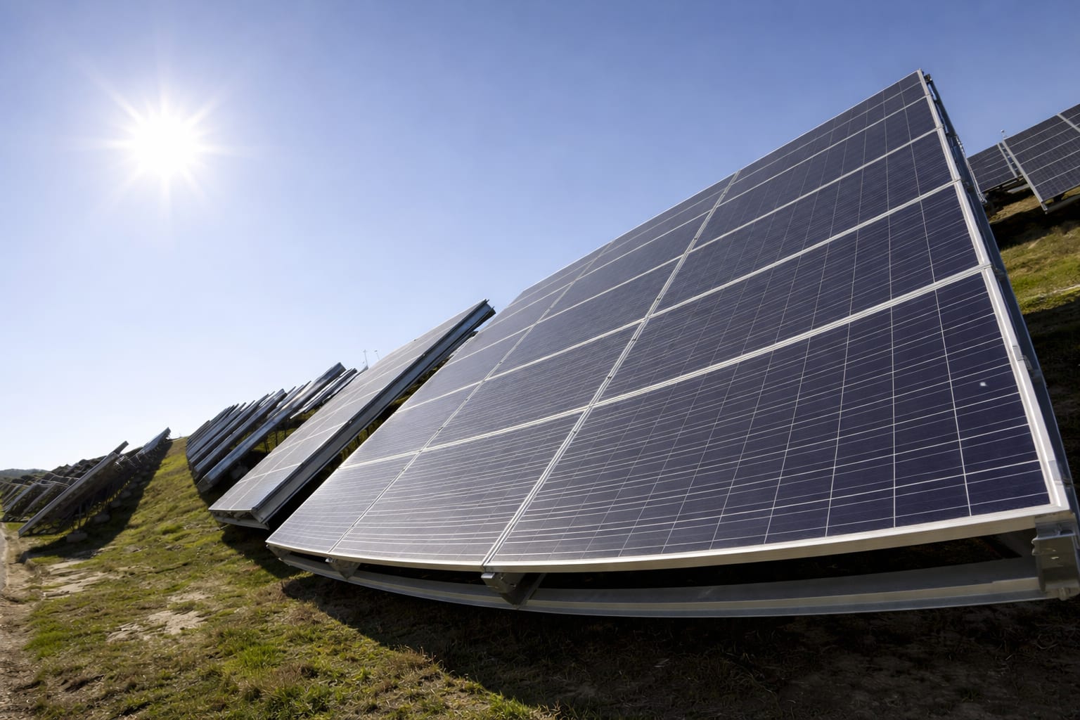 Parcurile solare CE Oltenia și OMV Petrom au pierdut 5,3 milioane de euro în 2025