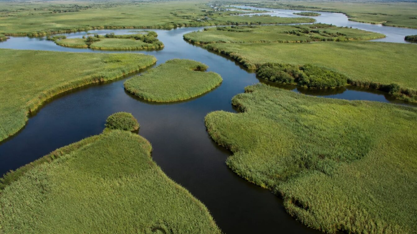 Tulcea mobilizează 14 instituții pentru a verifica 3.000 de hectare în Delta Dunării