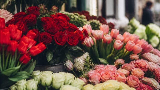 Tainele iubirii: Semnificatiile florilor