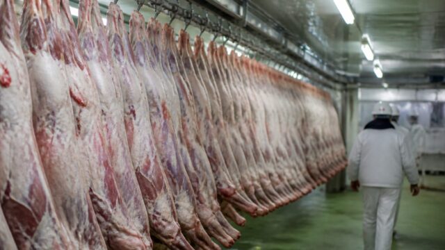 Exportul de 700.000 de oi în carcasă a fost un record