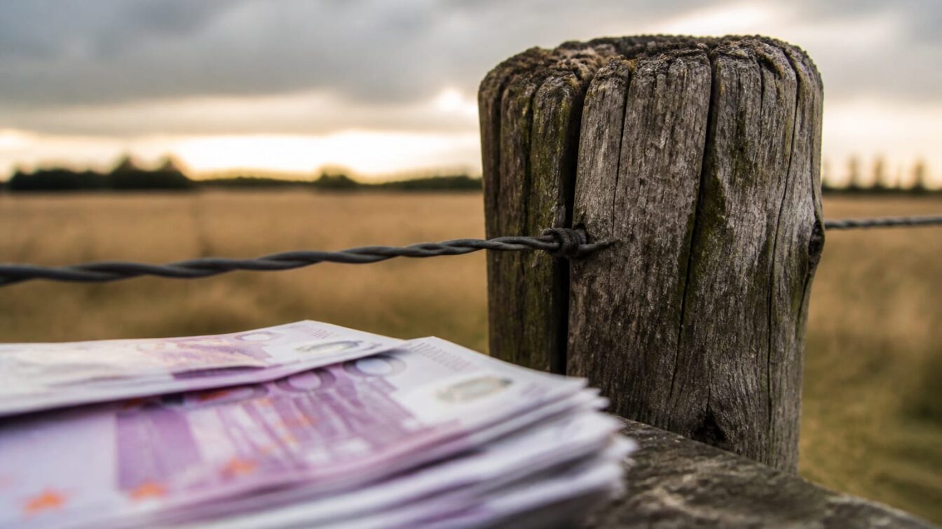Program nou pentru fermele mici. Sute de milioane de euro de la Banca Mondială