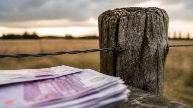 Program nou pentru fermele mici. Sute de milioane de euro de la Banca Mondială