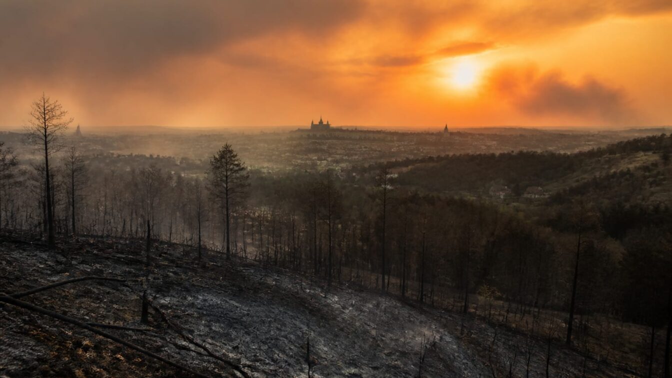 Europa se confruntă cu un sezon record de incendii. Peste 320.000 de evacuări și 266.085 de hectare arse