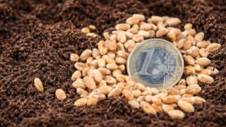 Bugetul pentru motorina din agricultură urcă la 714,3 milioane lei