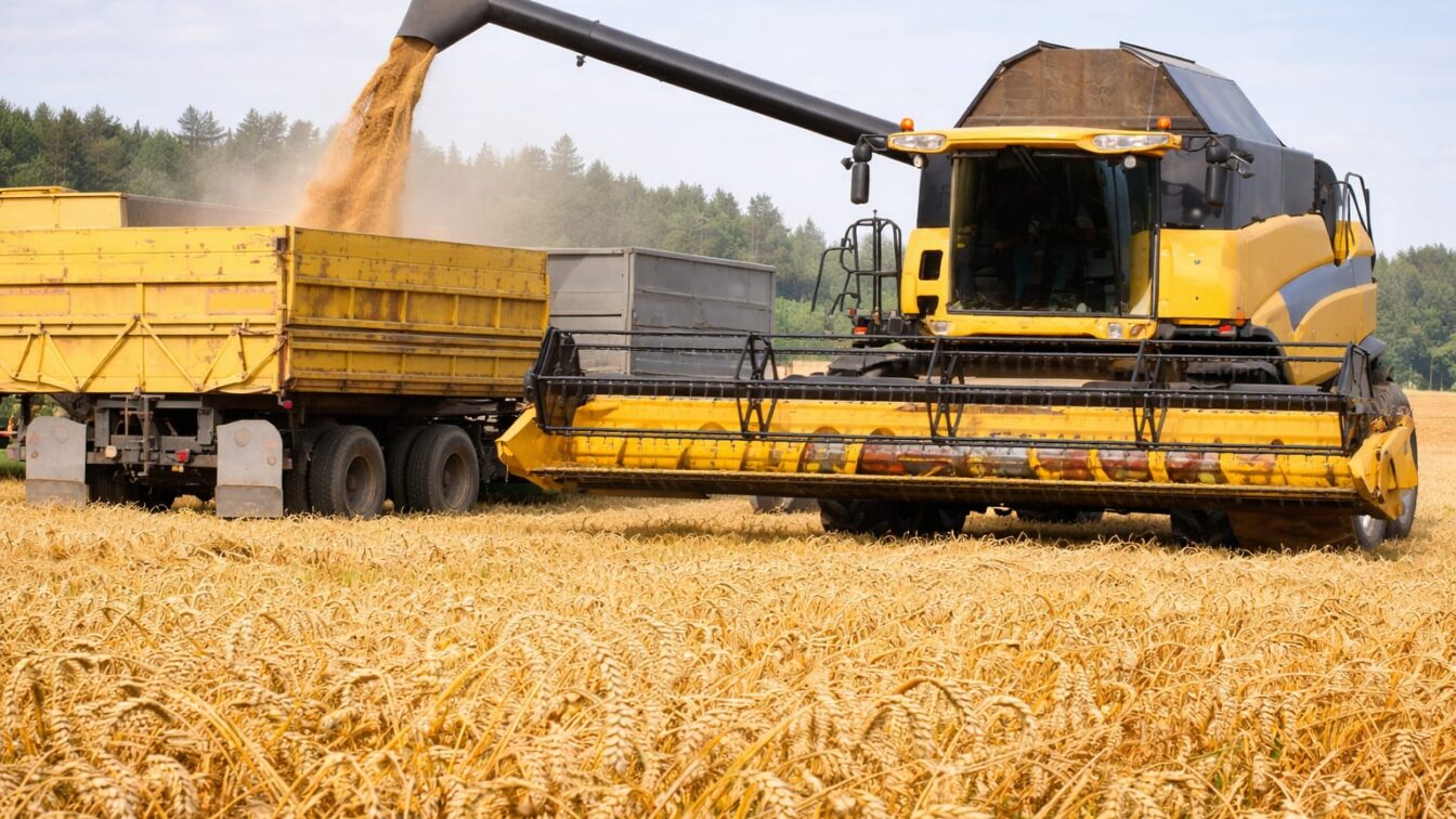 Seceta mută riscul din câmp în bilanțurile companiilor alimentare, după ce MARS a revizuit în jos toate culturile din UE