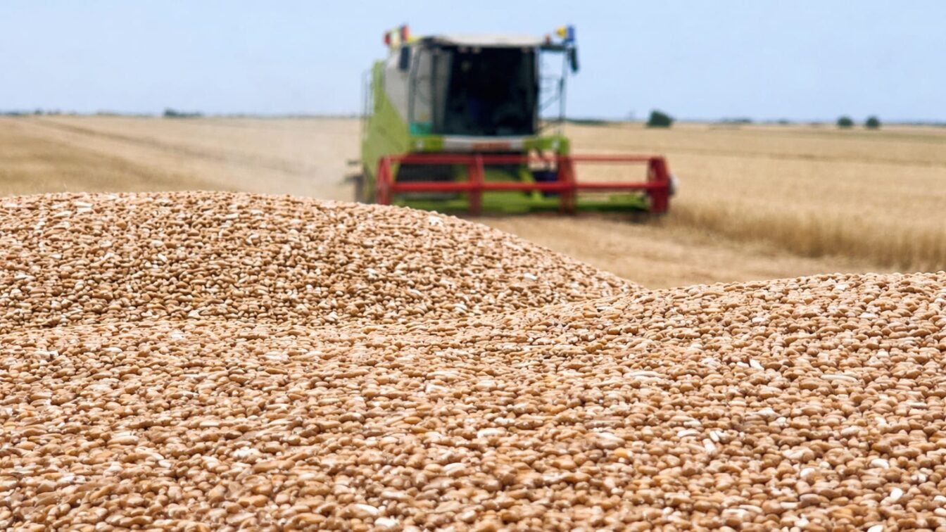 România și Bulgaria impulsionează producția de cereale a estului UE spre un record istoric