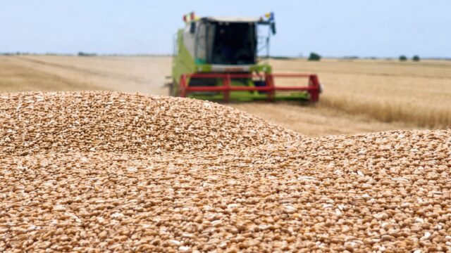 România și Bulgaria impulsionează producția de cereale a estului UE spre un record istoric