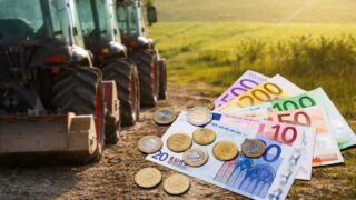 Instituțiile europene permit avansuri de 75% pentru subvențiile agricole din 2026