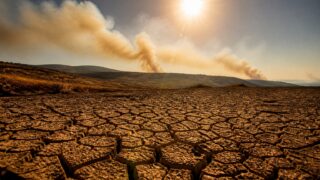 Agricultura, transportul și turismul plătesc primele costuri ale incendiilor din sudul Europei