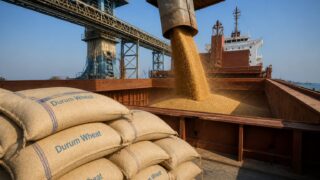 120,6 milioane de tone recoltează India, care reia exporturile de grâu și poate relaxa presiunea pe piața globală