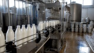 Agroserv Măriuța a procesat 74% din laptele fermei proprii, cu presiune temporară asupra marjelor