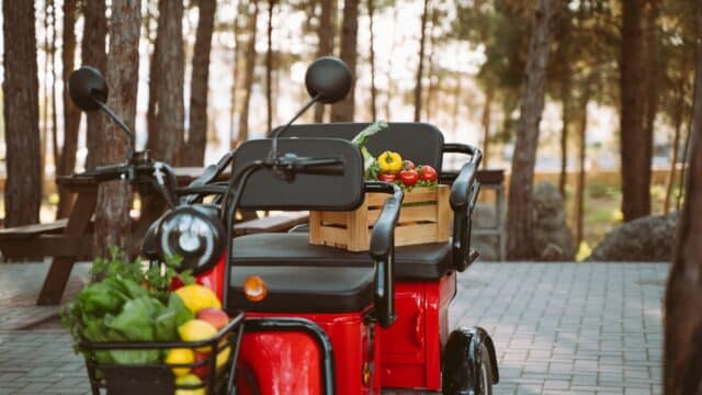 Ce trebuie să verifici înainte de prima utilizare a unui triciclu electric