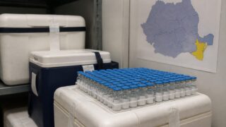 ANSVSA a trimis planul pentru reluarea exporturilor de ovine și caprine. Aplicarea depinde de aprobarea UE