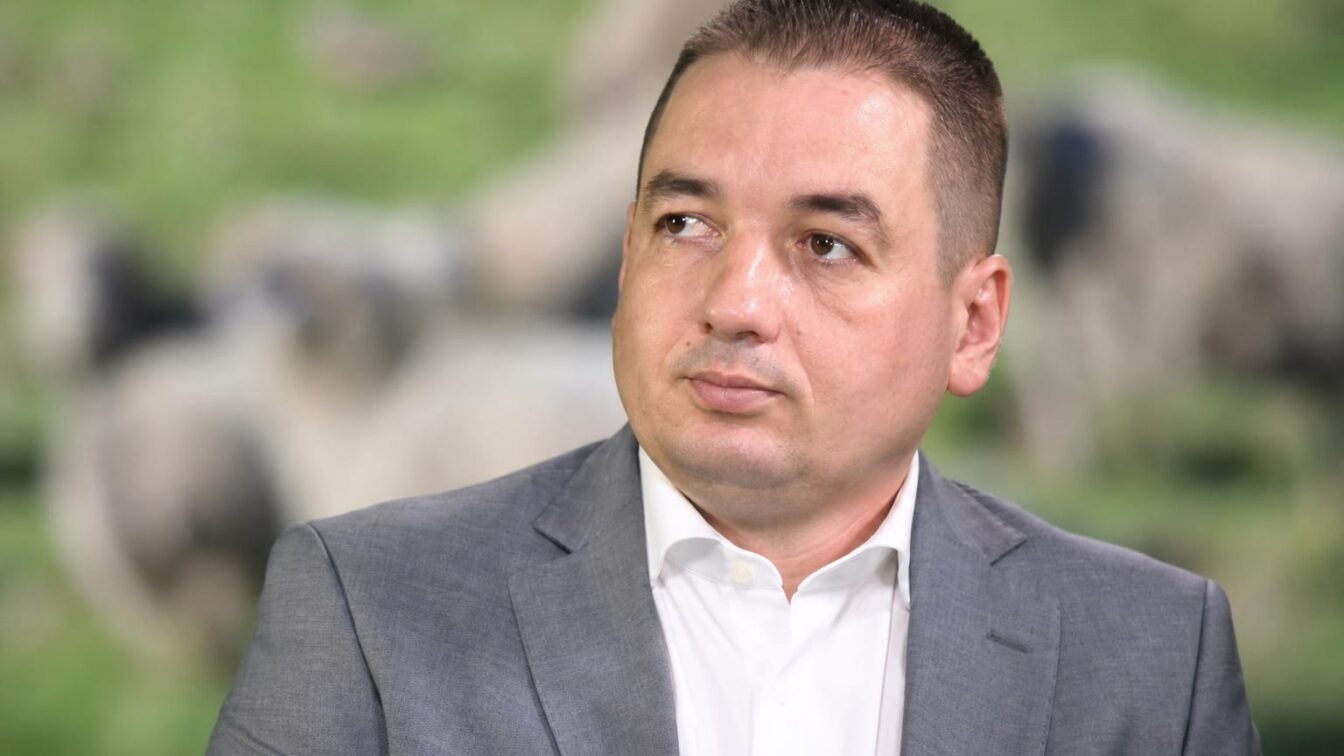 Comisia Europeană aprobă planul pentru exporturile de ovine și caprine. Reluarea livrărilor cere o nouă decizie