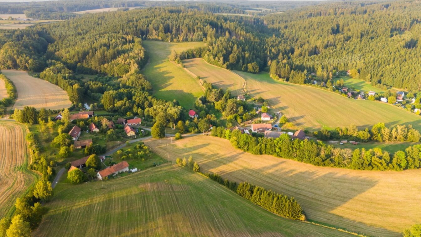 Împădurirea terenurilor agricole aduce o primă de 640 euro pe hectar anual. Ce finanțări și obligații sunt prevăzute