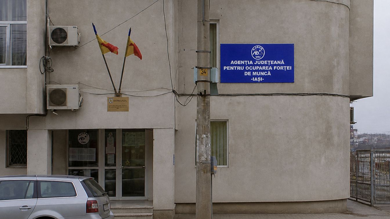 Cum învață un șomer o meserie la locul de muncă și primește salariu. Firma poate primi 2.250 de lei pe lună pentru fiecare ucenic