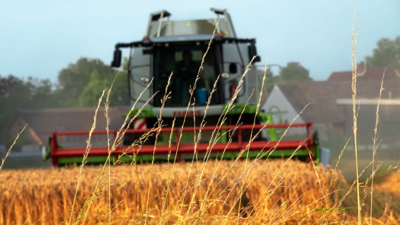Agricultura României ar putea pierde 5 miliarde de euro în 2028-2034, estimează Achim Irimescu