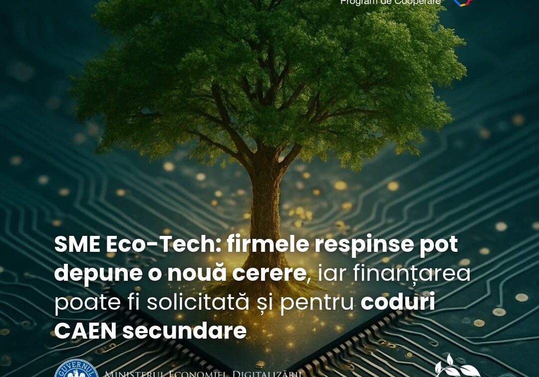 Firmele respinse la ajutorul de până la 267.240 de lei pot cere din nou bani și pentru alte activități