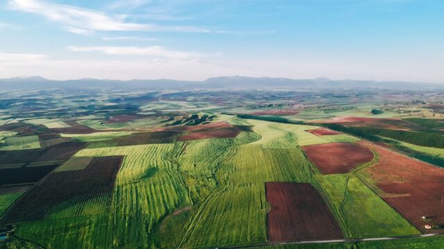 Cât costă un hectar agricol și ce venit aduce arenda. Impozitul reținut proprietarului reprezintă 8% din brut