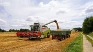 Cerealele s-au scumpit cu 5,1% în septembrie, pe fondul dificultăților de transport și al secetei