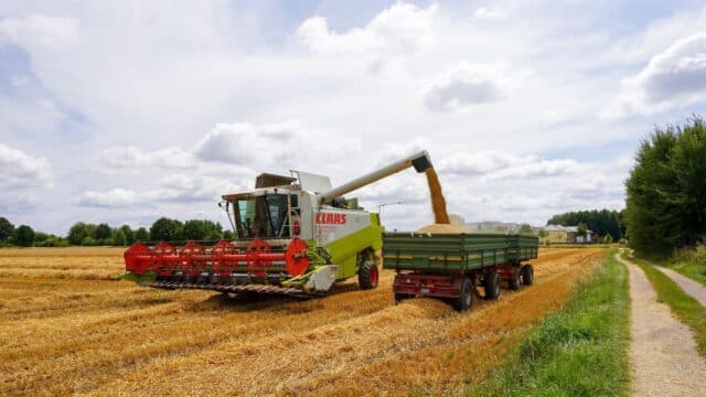 Cerealele s-au scumpit cu 5,1% în septembrie, pe fondul dificultăților de transport și al secetei